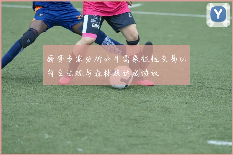 薪资专家分析公牛需象征性交易以符合法规与森林狼达成协议